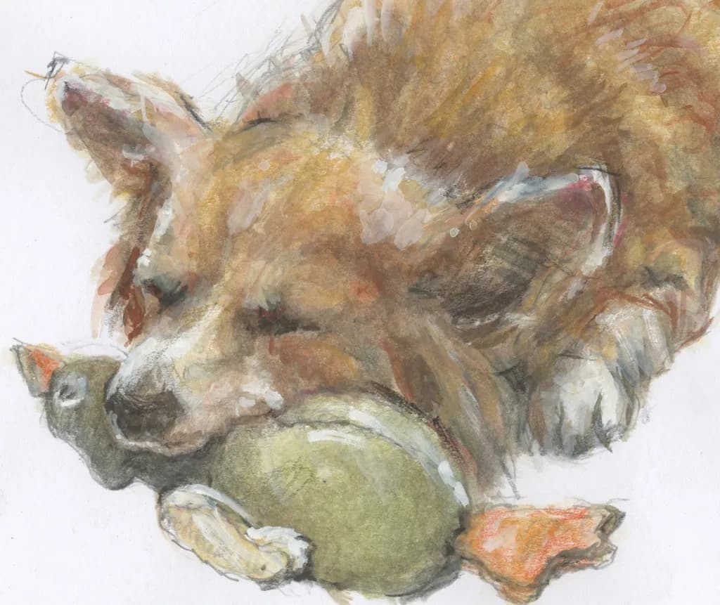 Dog and Duck Rest