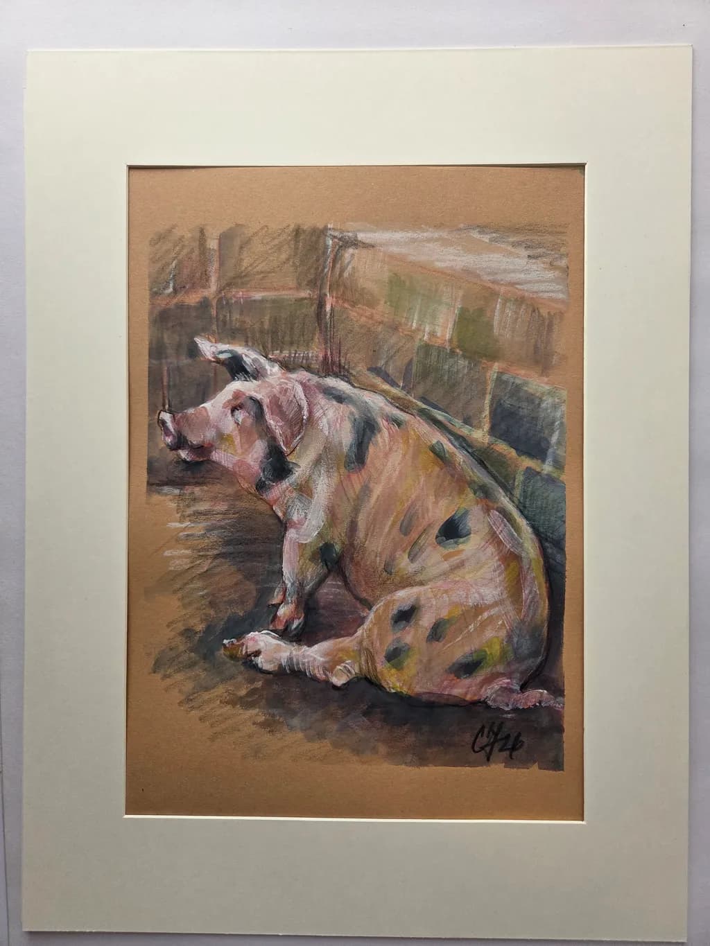 Resting Pig Portrait