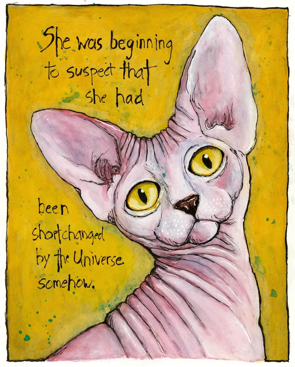 Hairless Cat Glance
