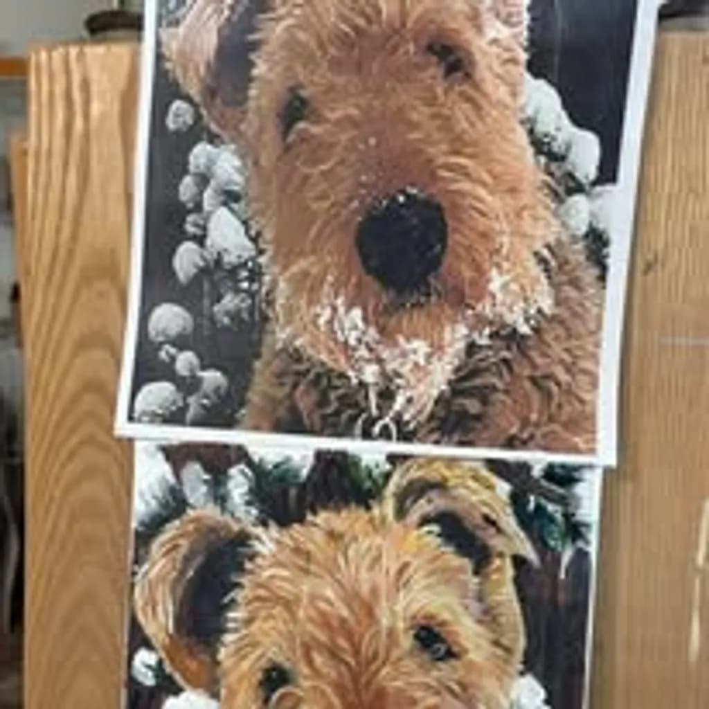 Dog Portraits