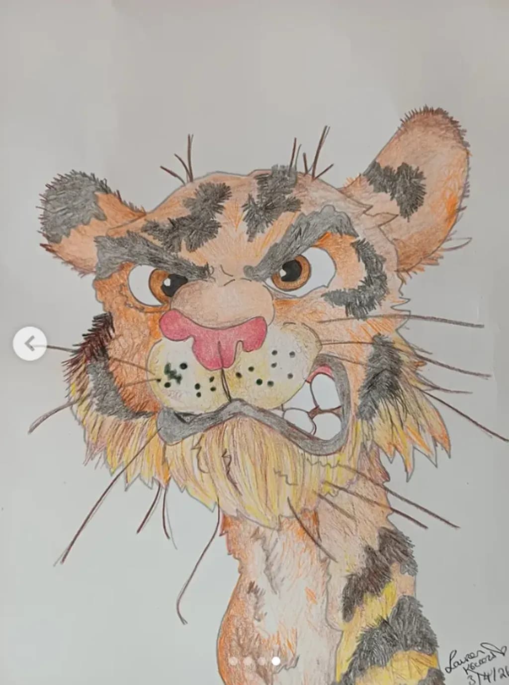 Tiger Moods