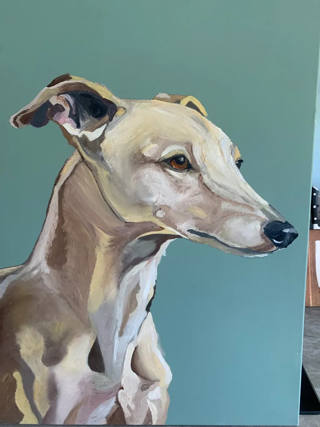 Greyhound Profile