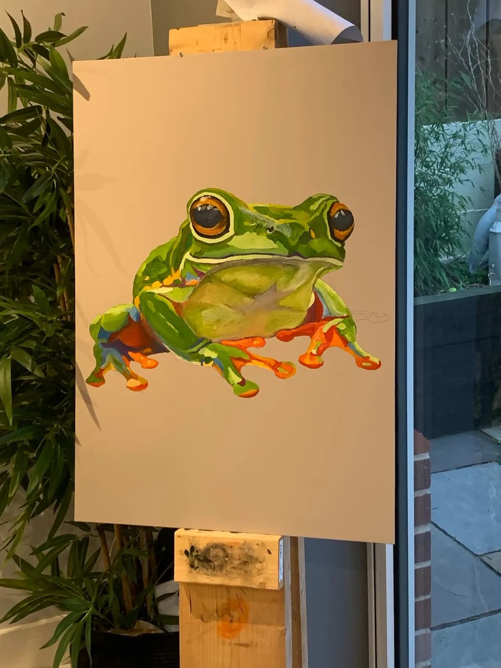 Tropical Tree Frog