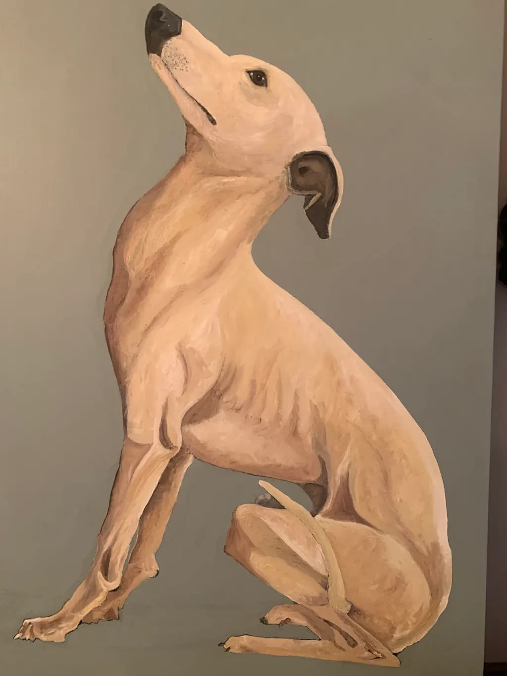 Graceful Greyhound Pose