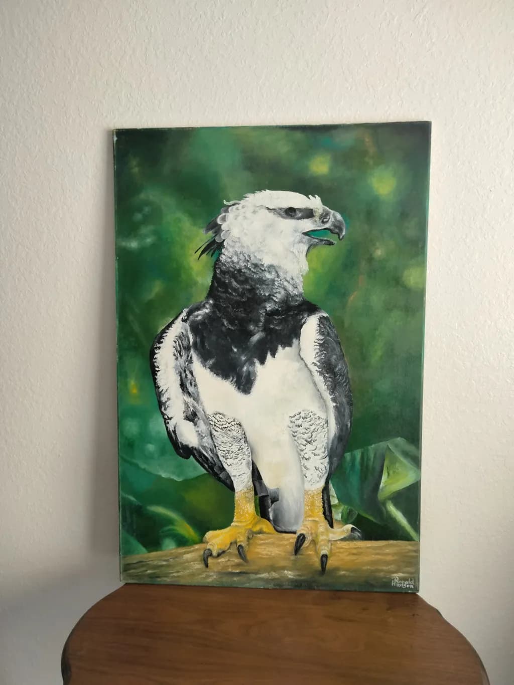Harpy Eagle Perch