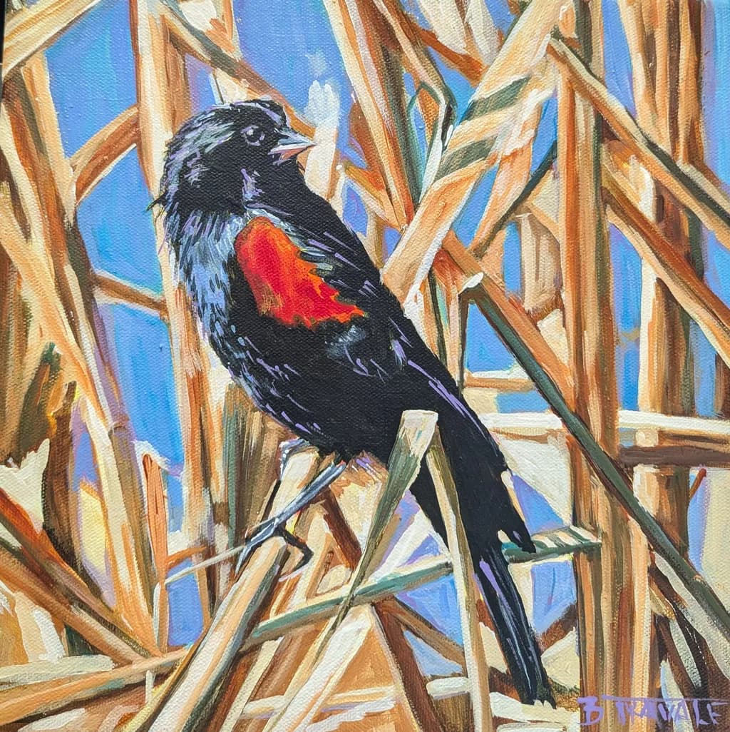 Marsh Bird Perch