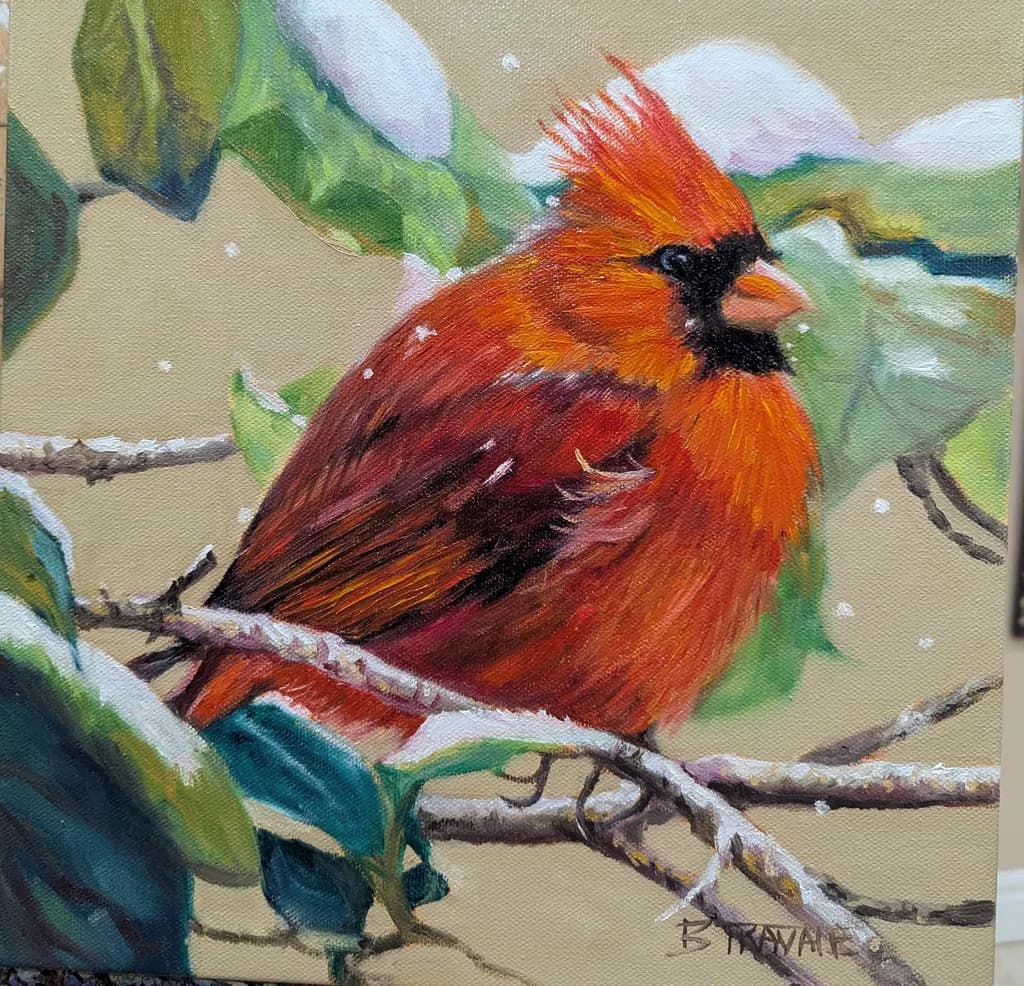 Cardinal on Branch