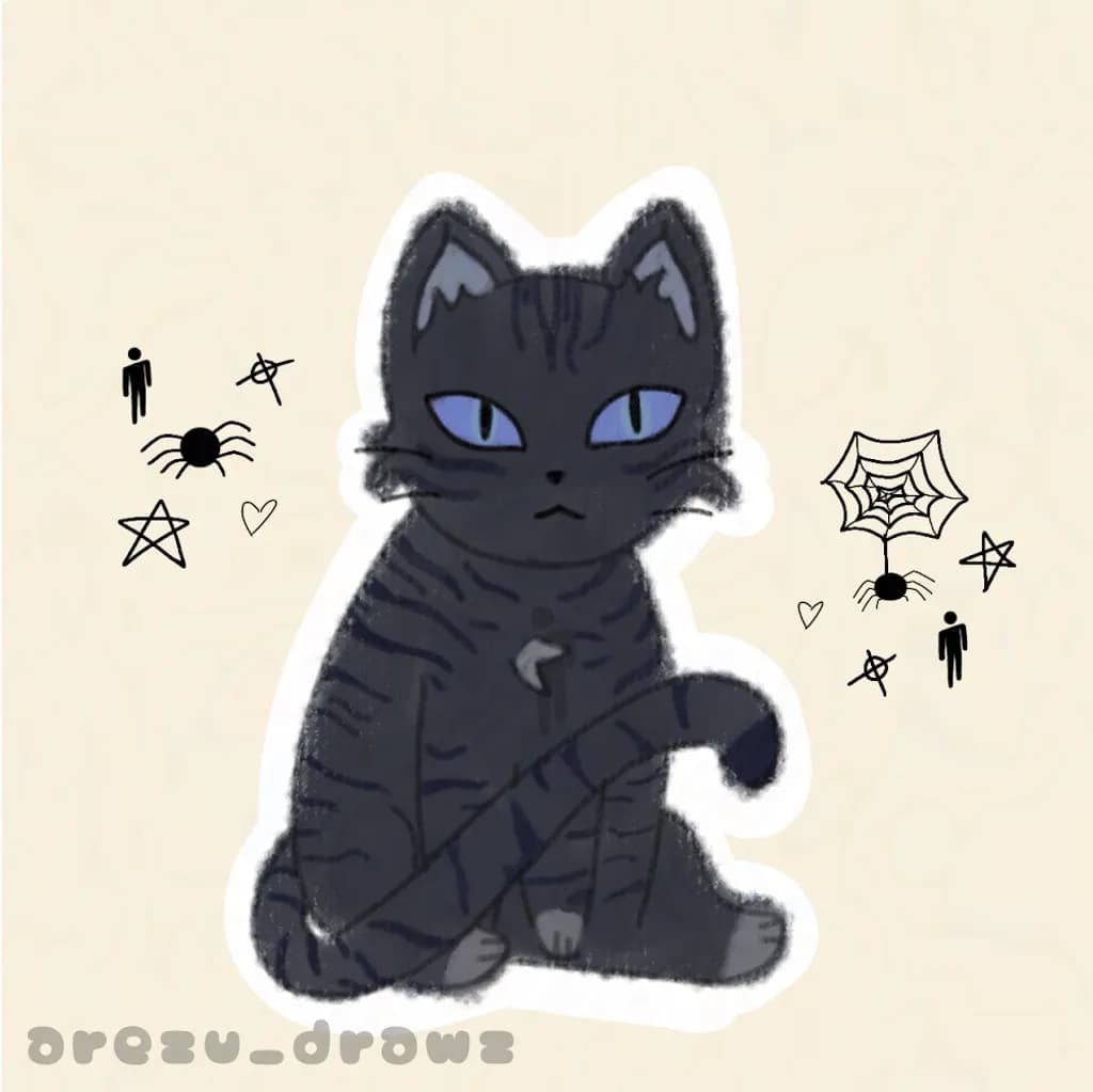 Spider Cat Shadows