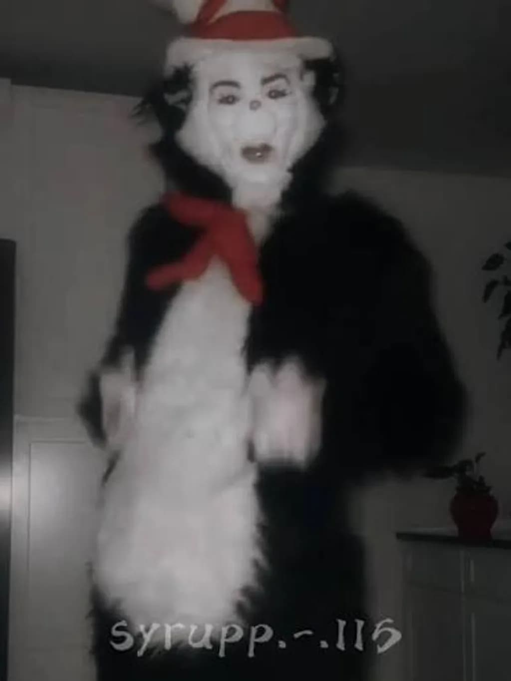 Cat Costume Character