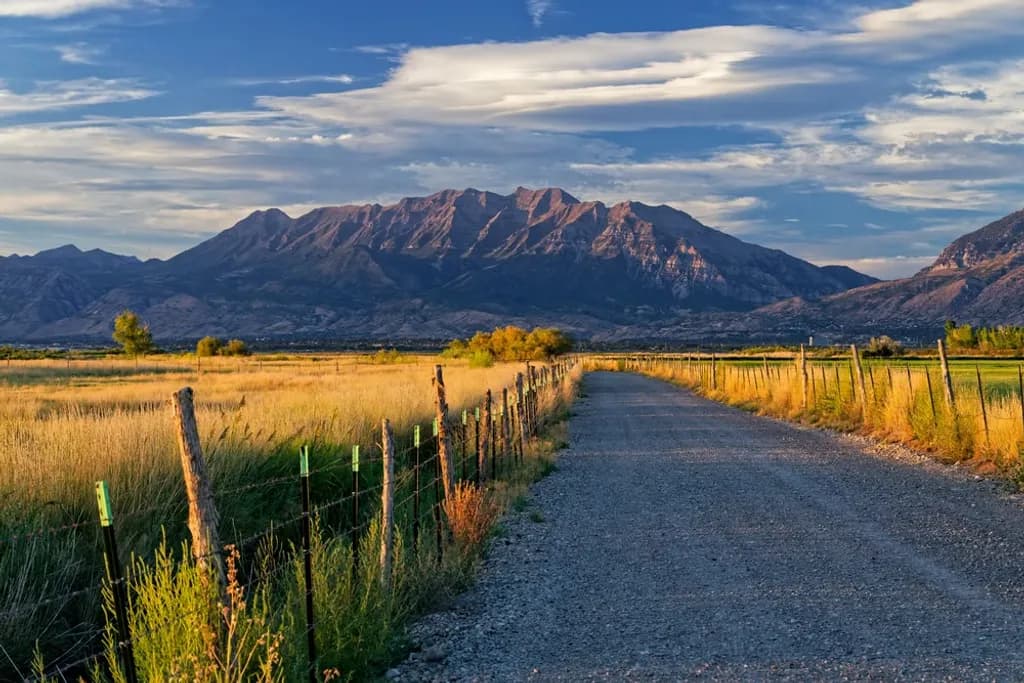 Mountain Road View