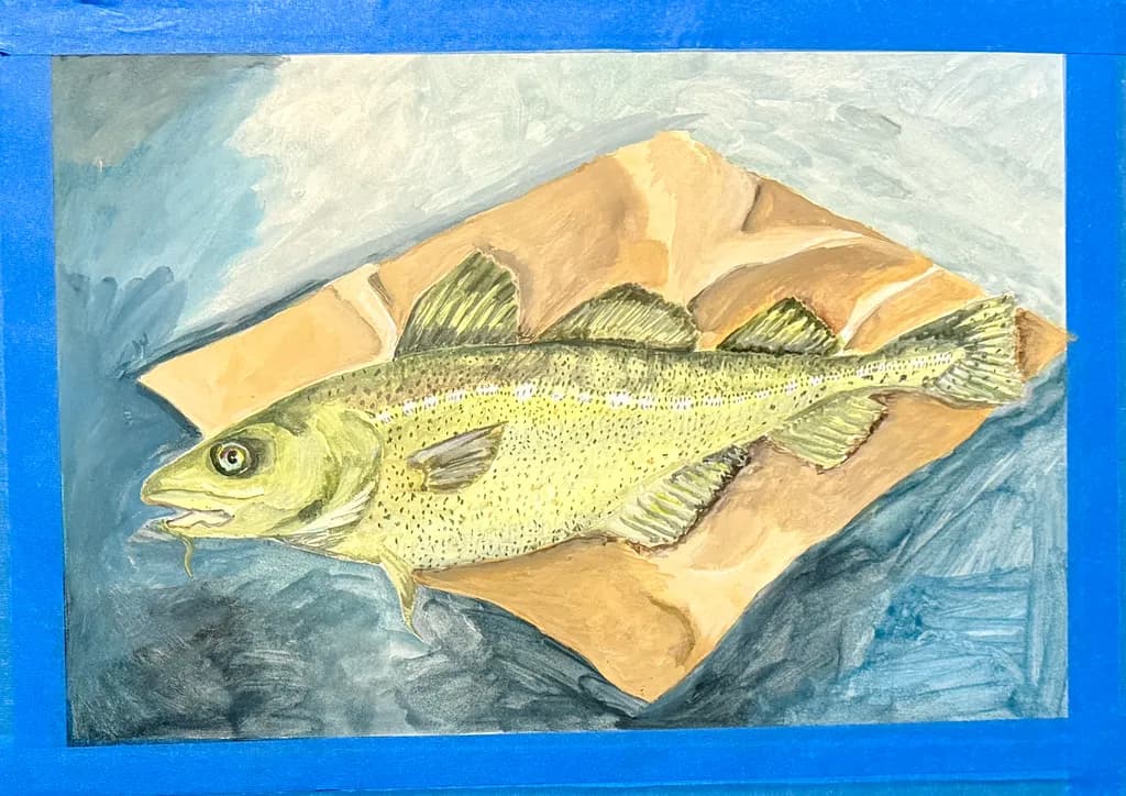 Walleye Study