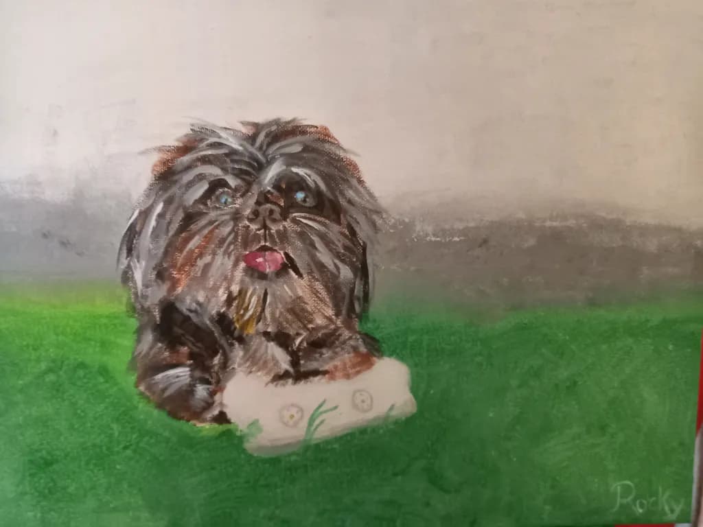Dog on Grass