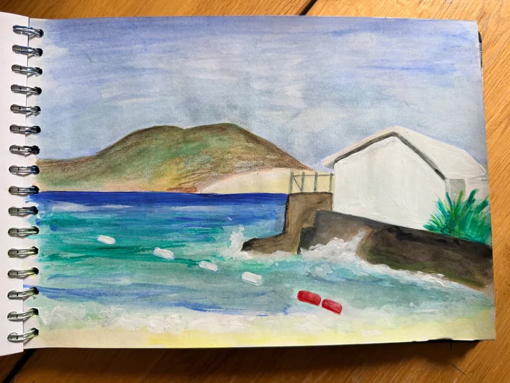 Coastal House and Island