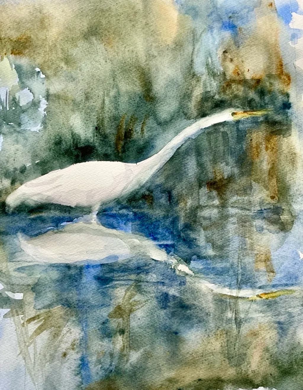 Egret Reflection