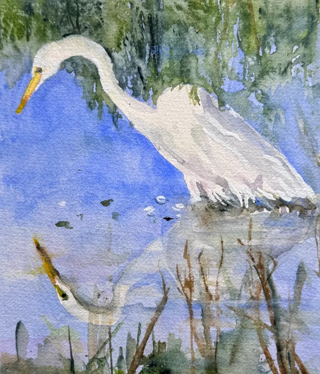 Egret Reflection