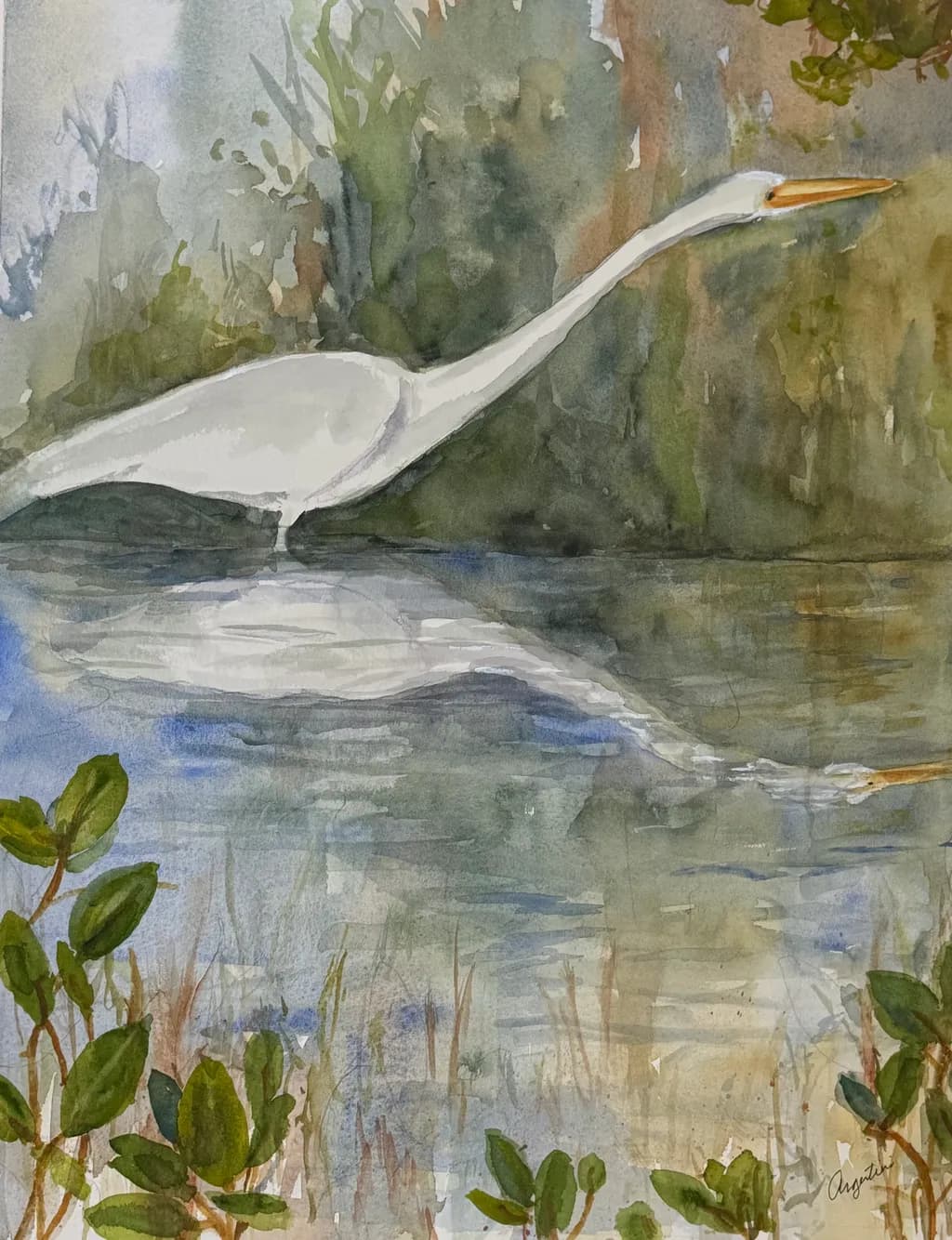 Egret by the Pond