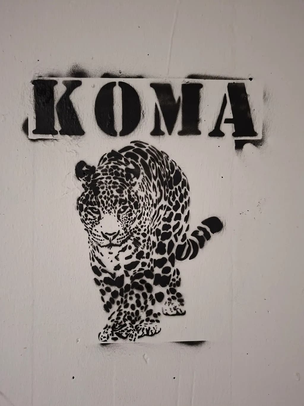 Leopard Stencil Art