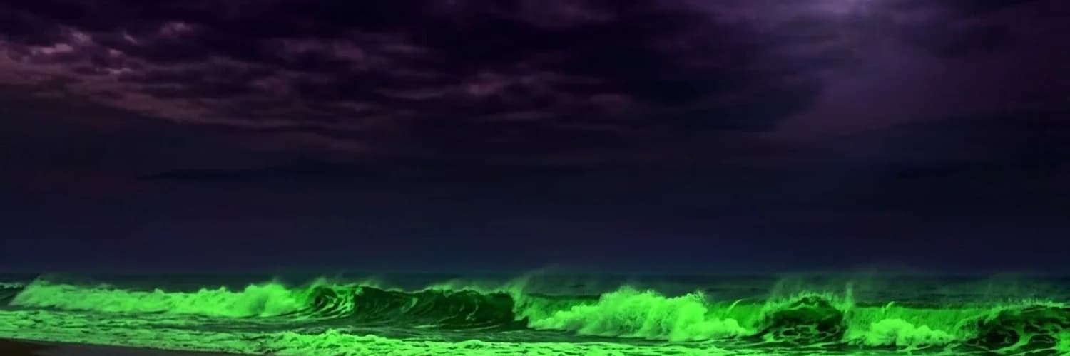 Banner del perfil