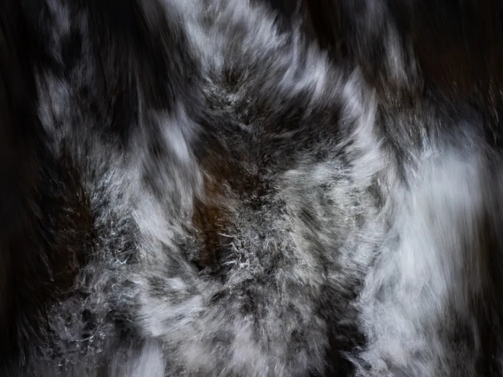 Feathered Flow