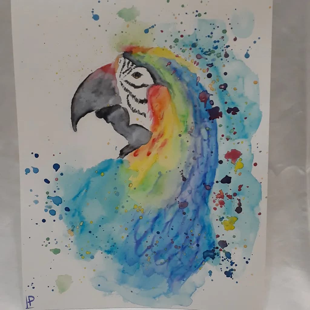 Rainbow Macaw Splash