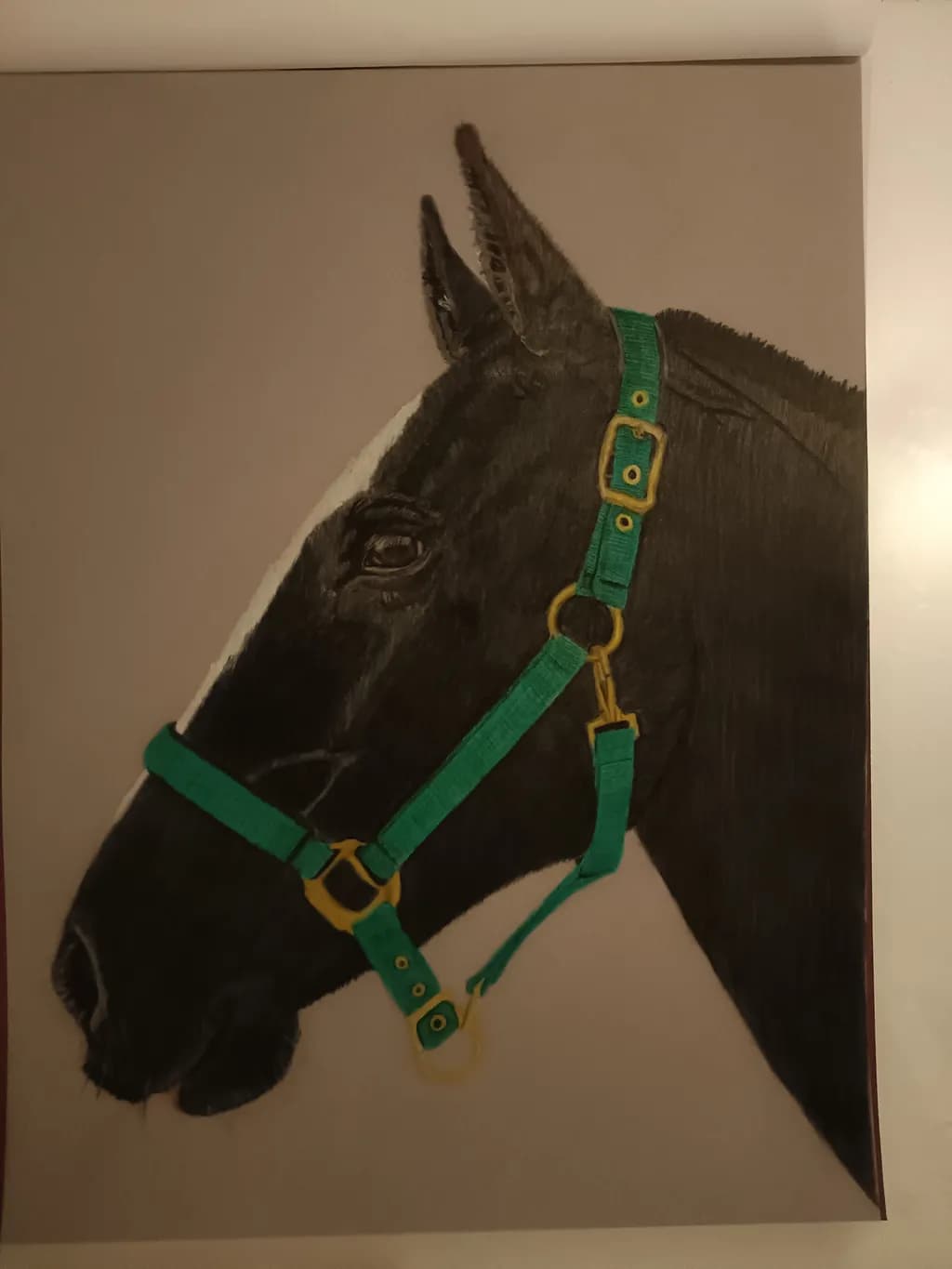 Black Horse Portrait