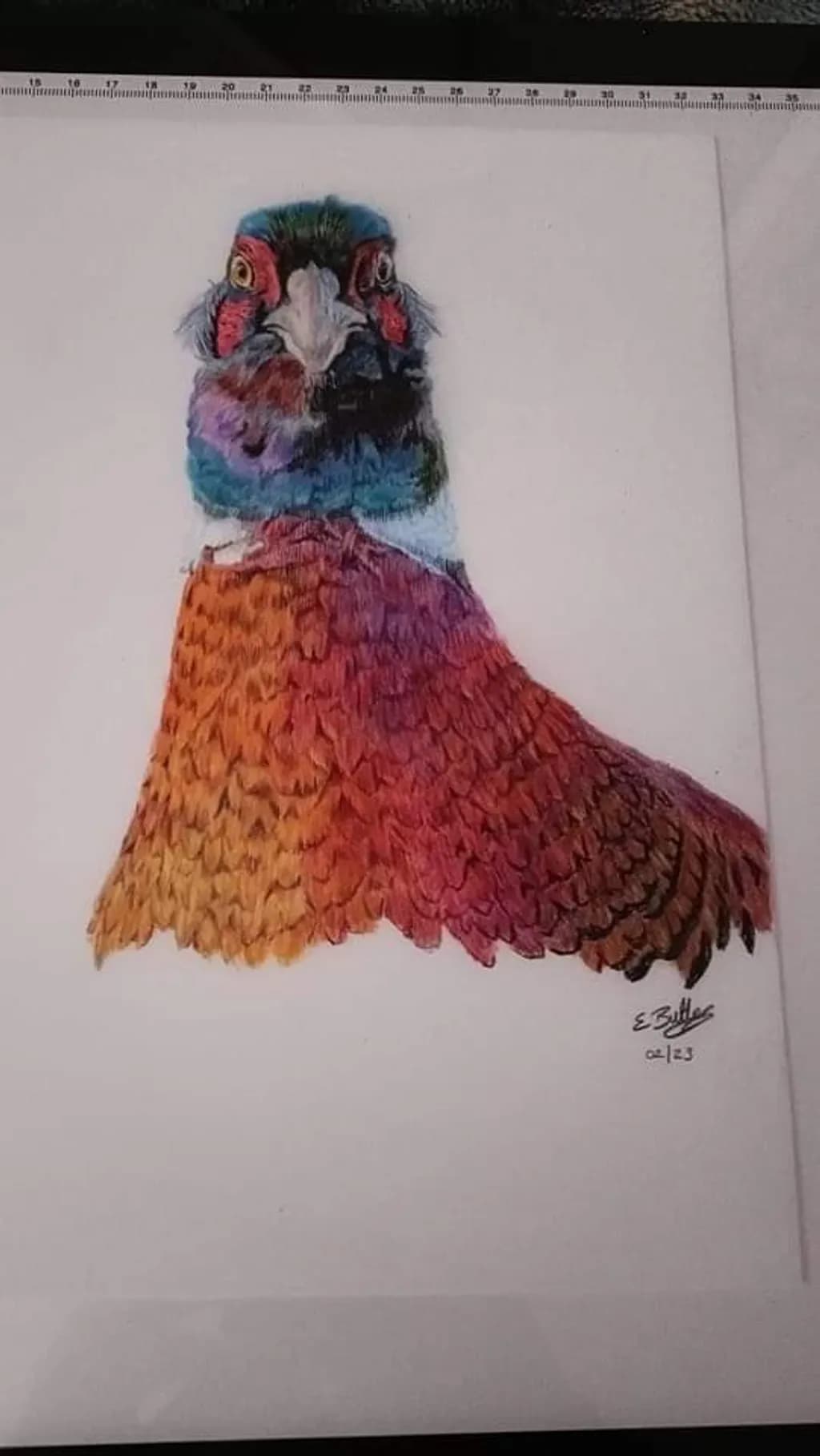 Pheasant in Autumn Colors