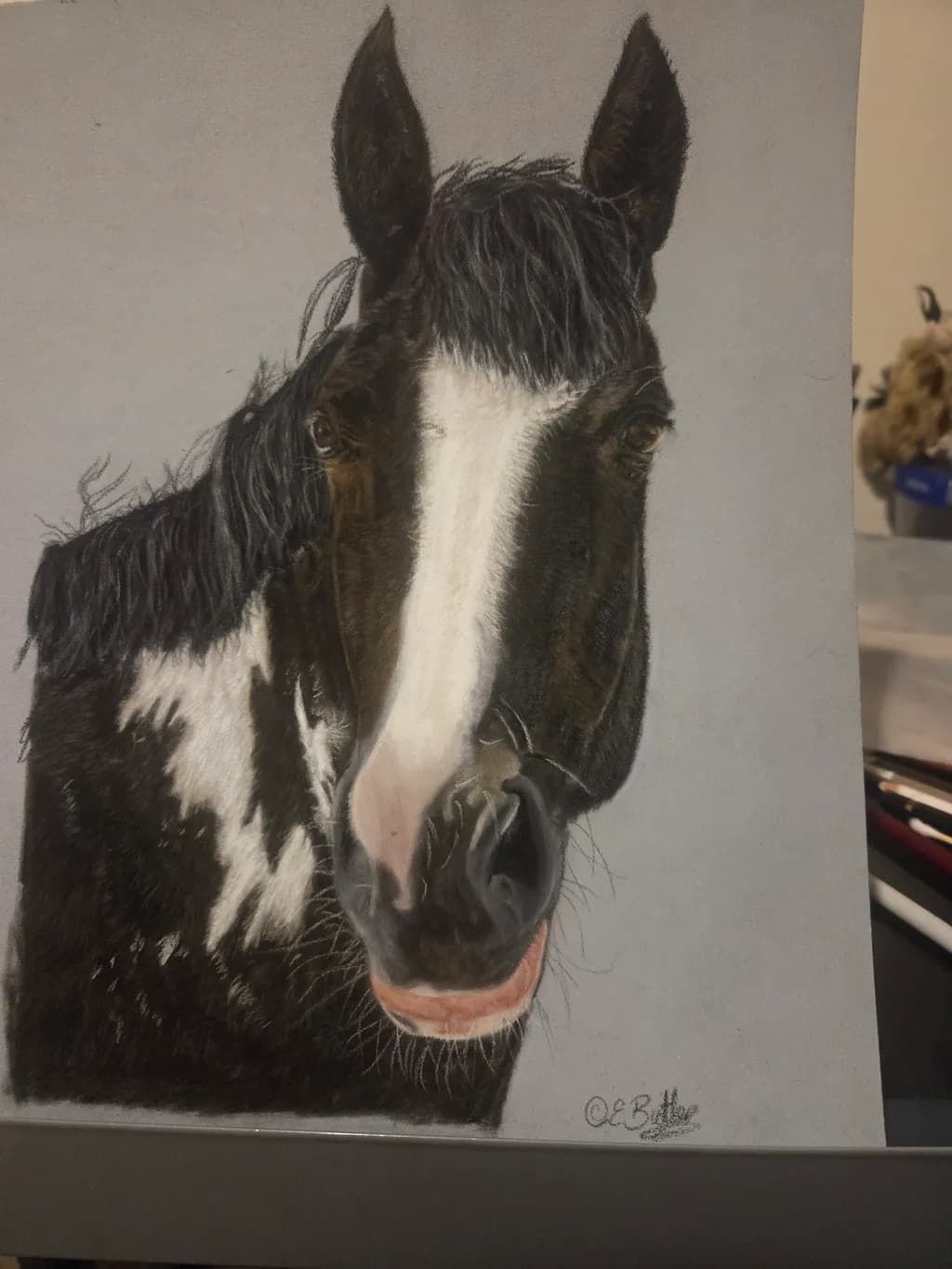 Piebald Horse Portrait