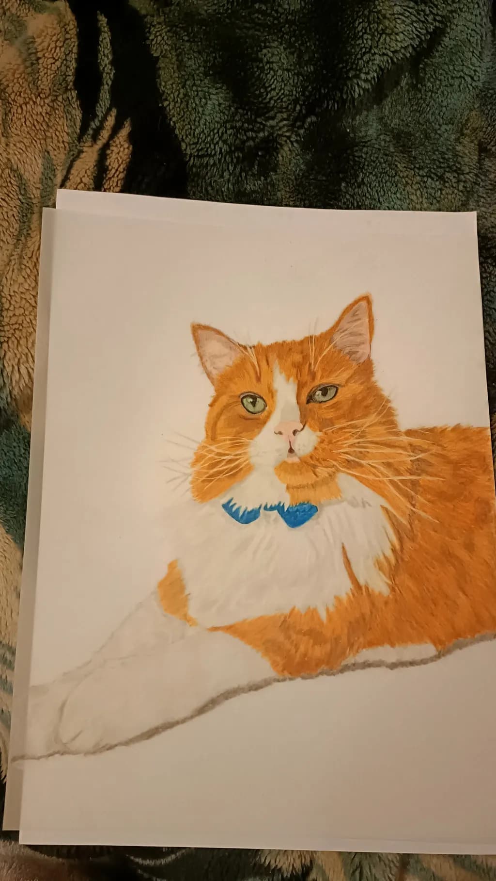 Ginger Cat Portrait