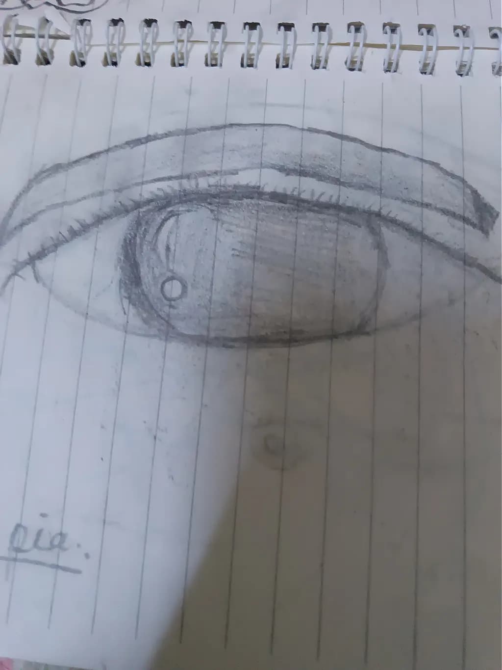 Graphite Eye Study