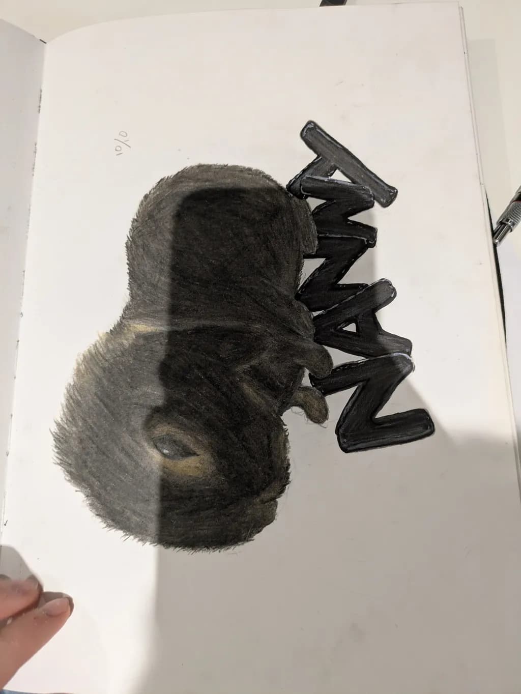 Charcoal Frog Study