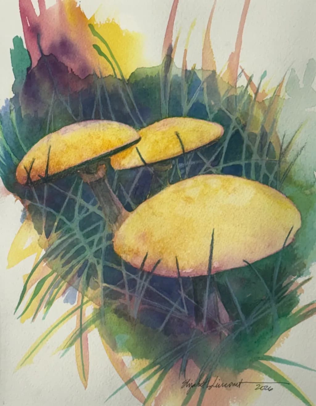 Yard 'Shrooms 2