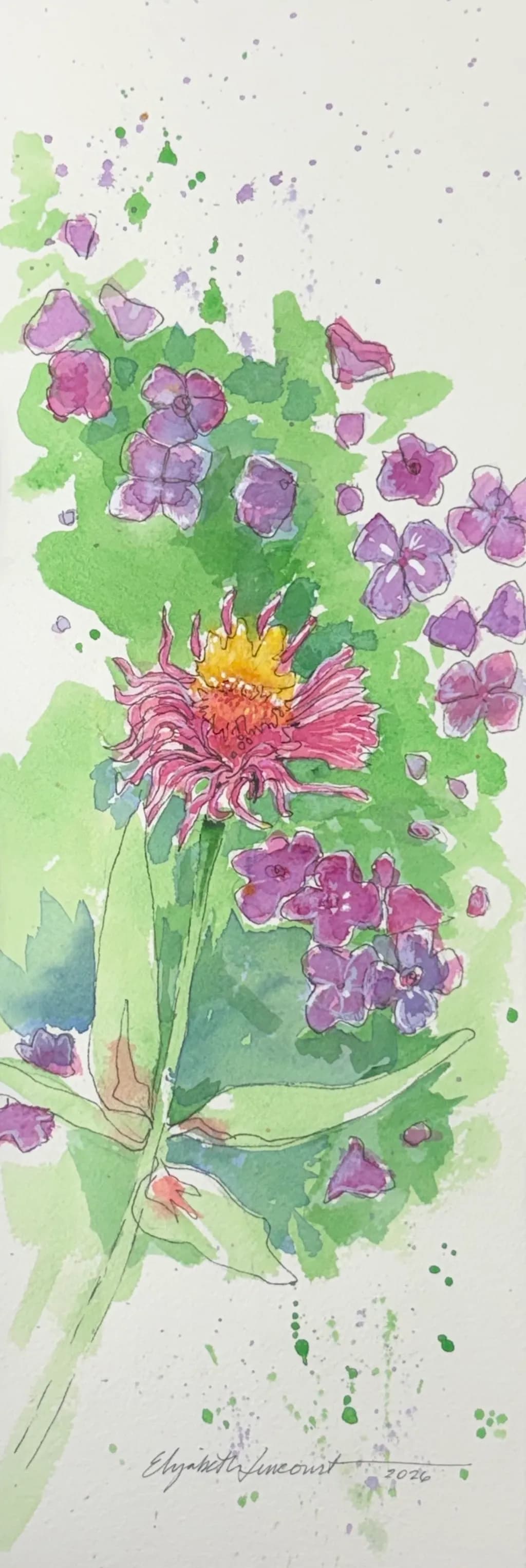 Purple Zinnia Garden
