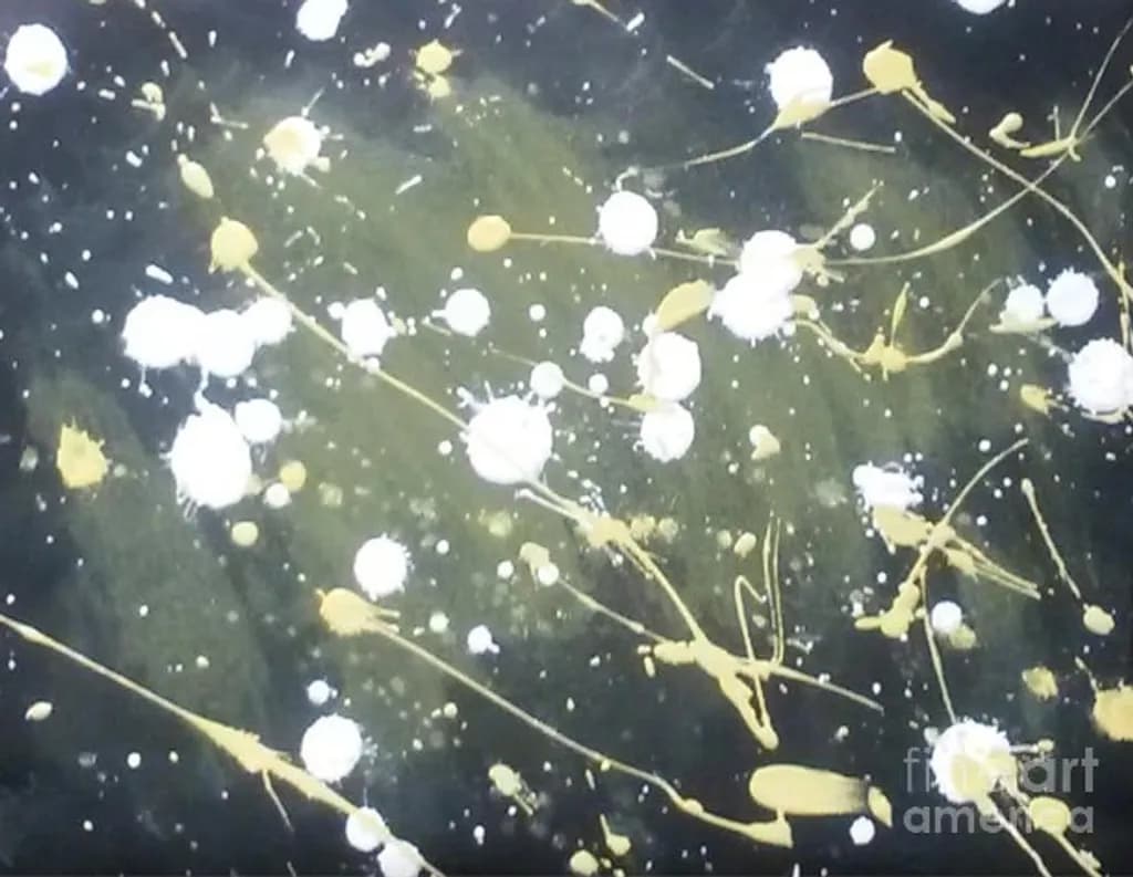 Charcoal Splatter Motion