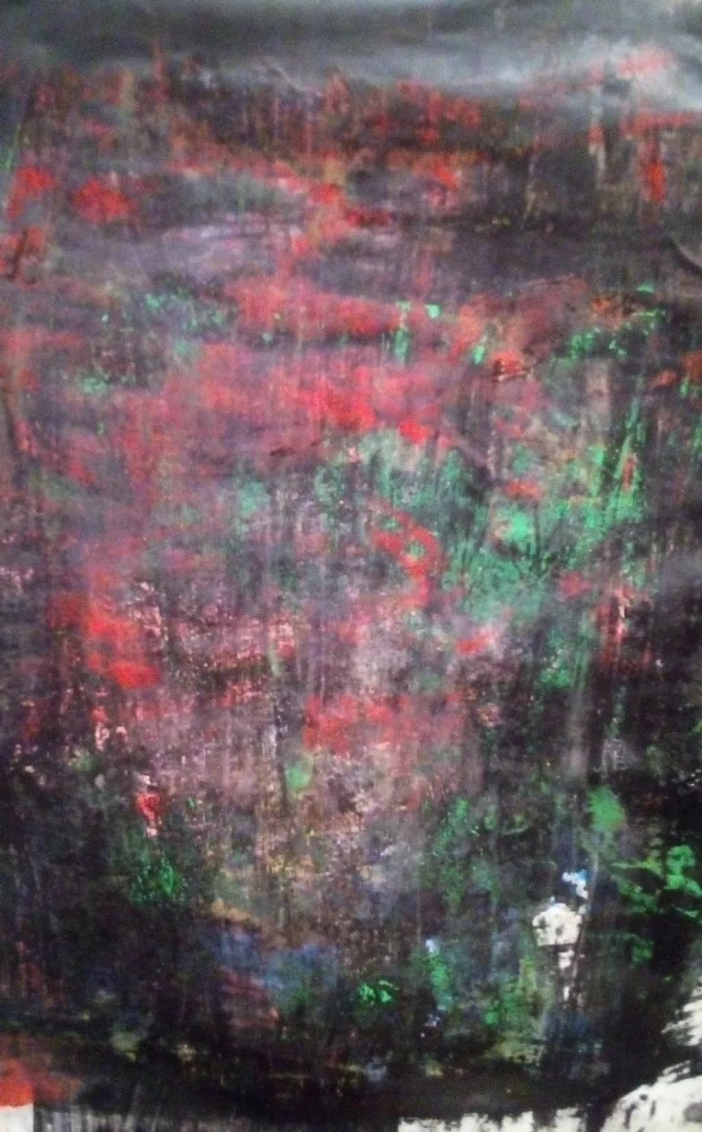 Crimson Forest Haze