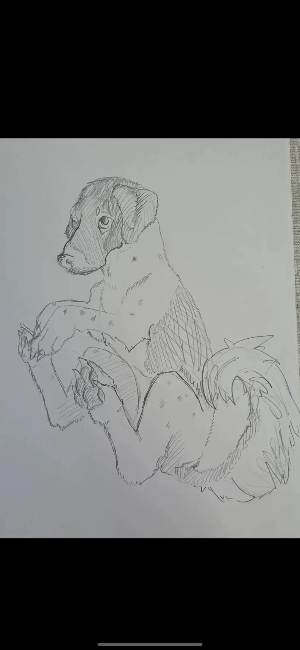 Thoughtful Dog Portrait