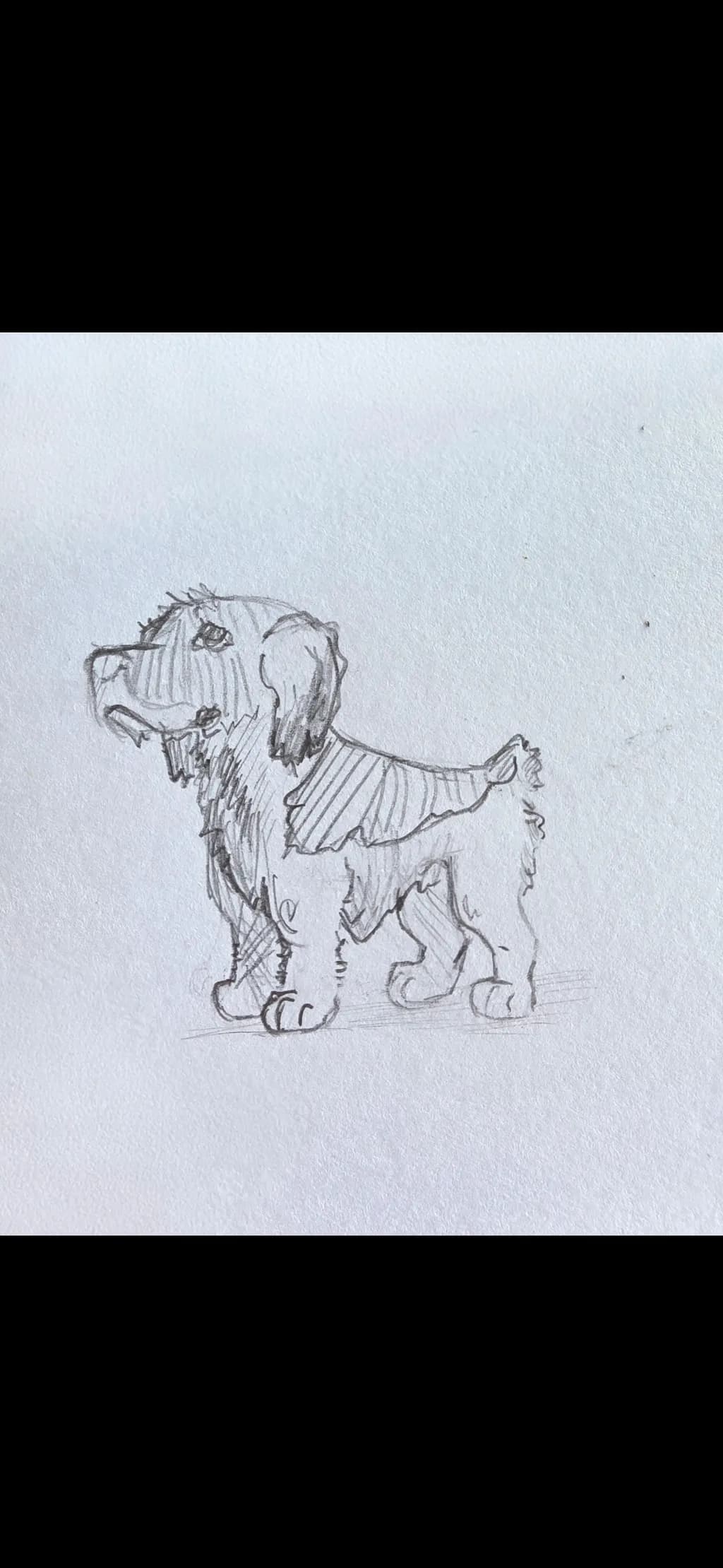 Pencil Dog Portrait