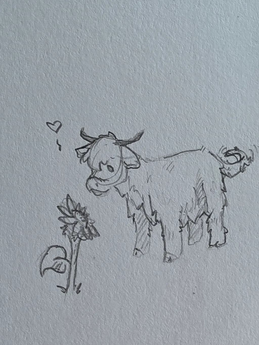 Cow and Wildflower