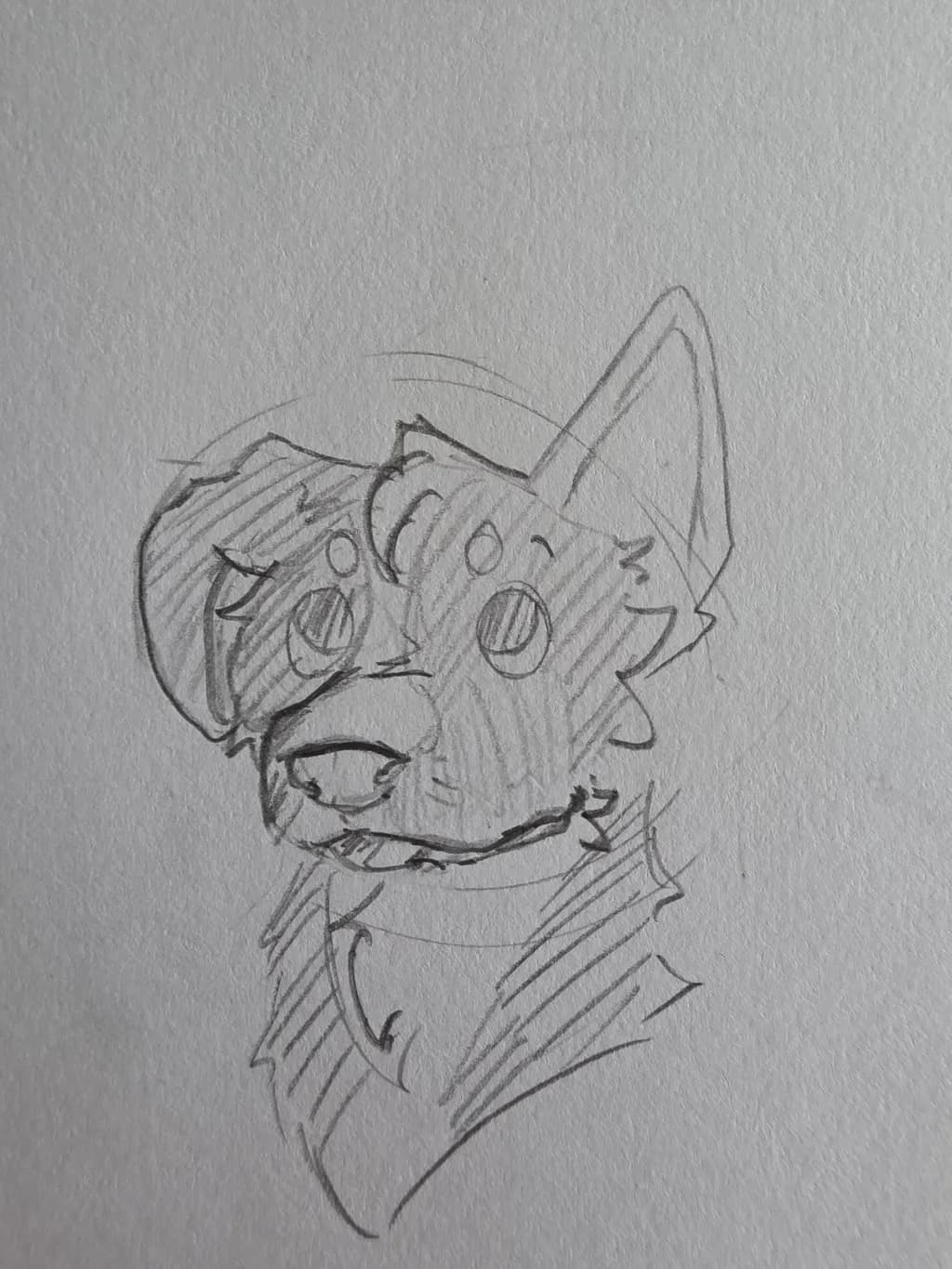 Scarfed Cat Portrait