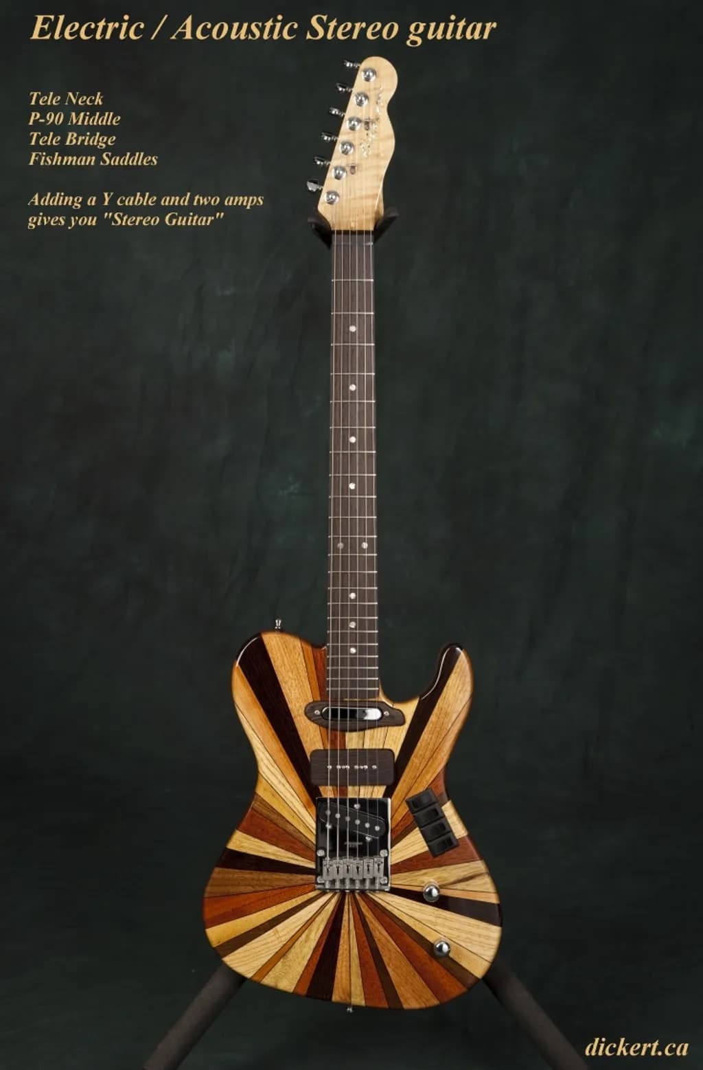 Stereo Tele Guitar