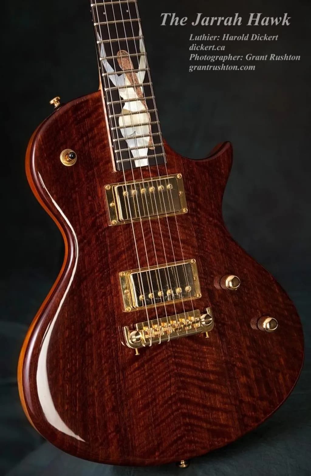 Jarrah Hawk Guitar