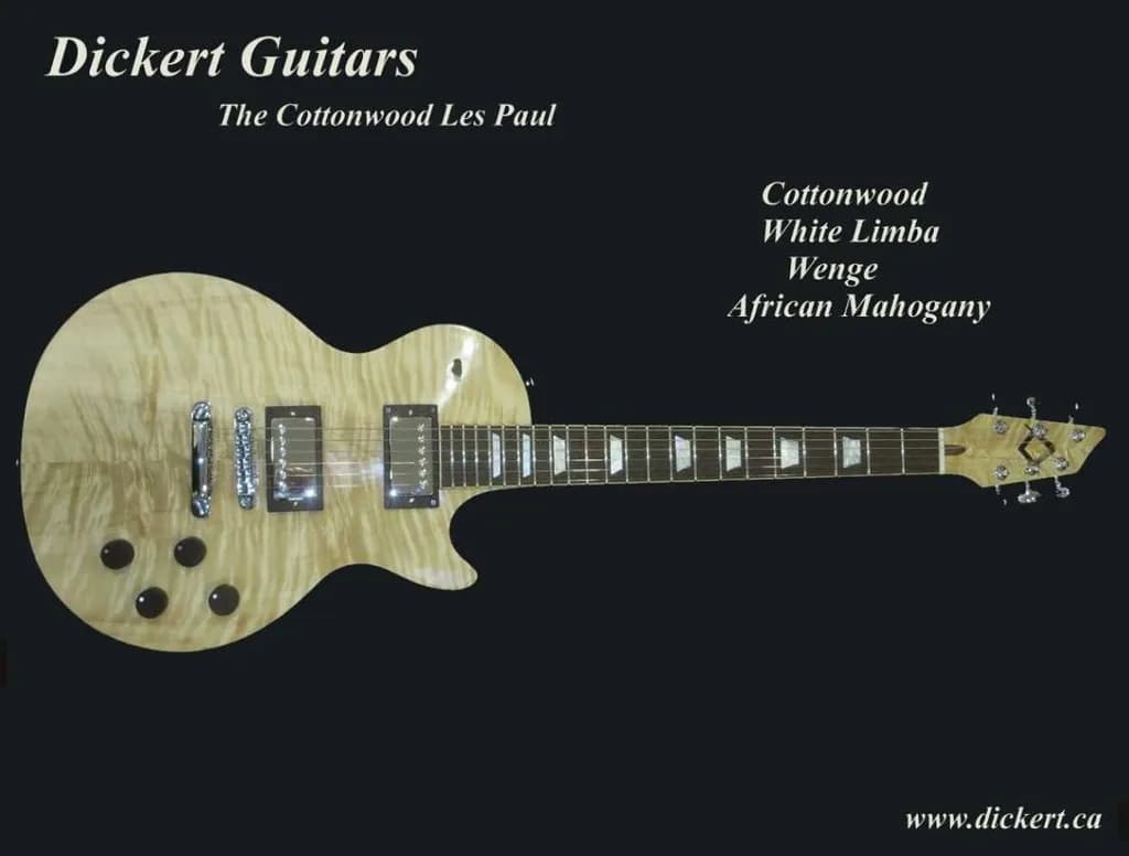 Cottonwood LP Guitar