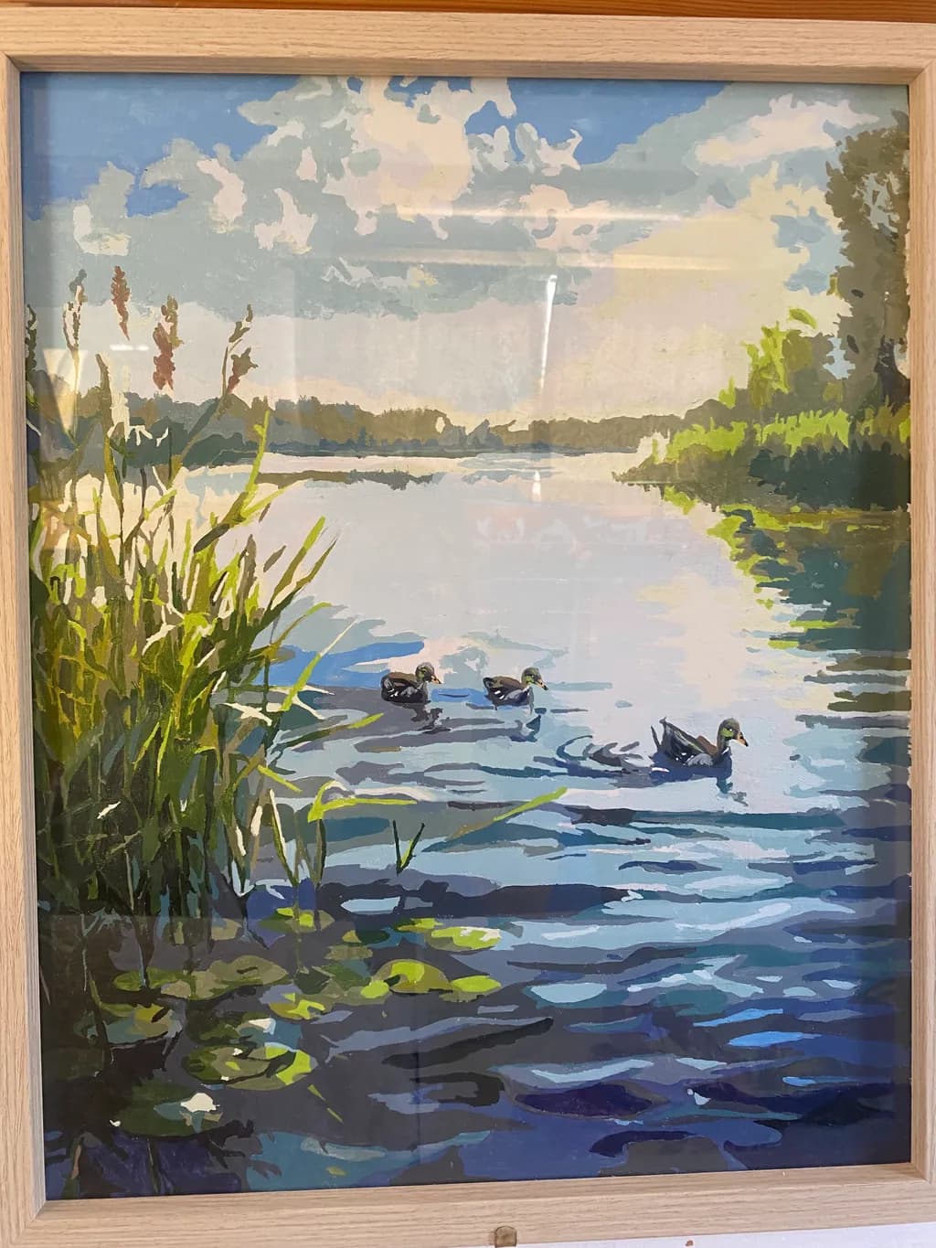 Ducks on the Sunlit Lake
