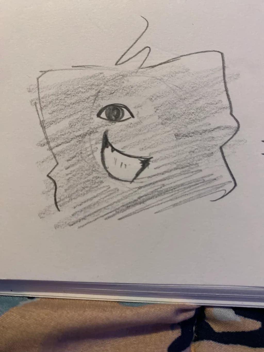 Smiling Cat Sketch