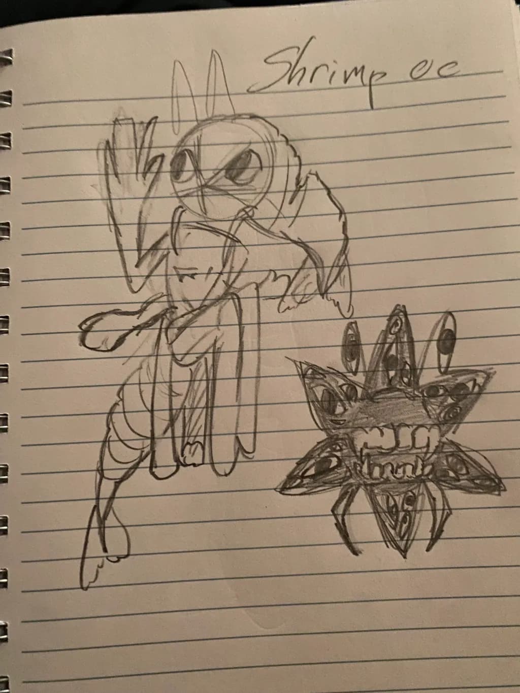 Shrimp OC Duo