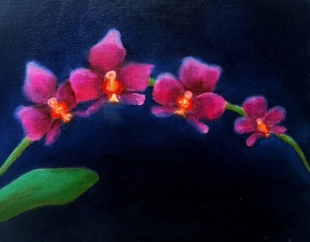 Orchid Nightfall