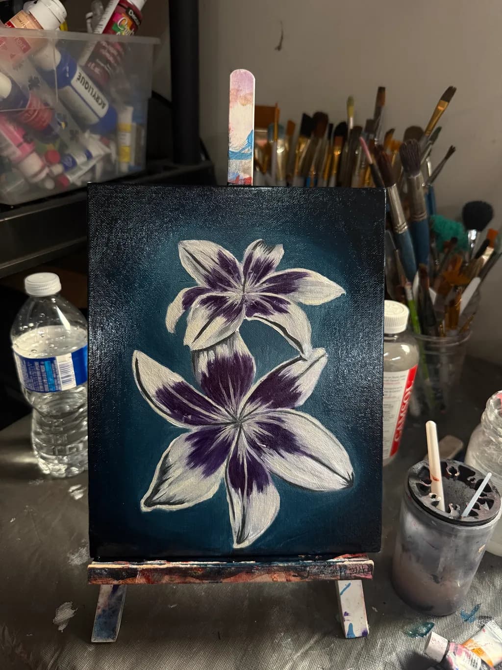 Purple Clematis on Midnight Blue
