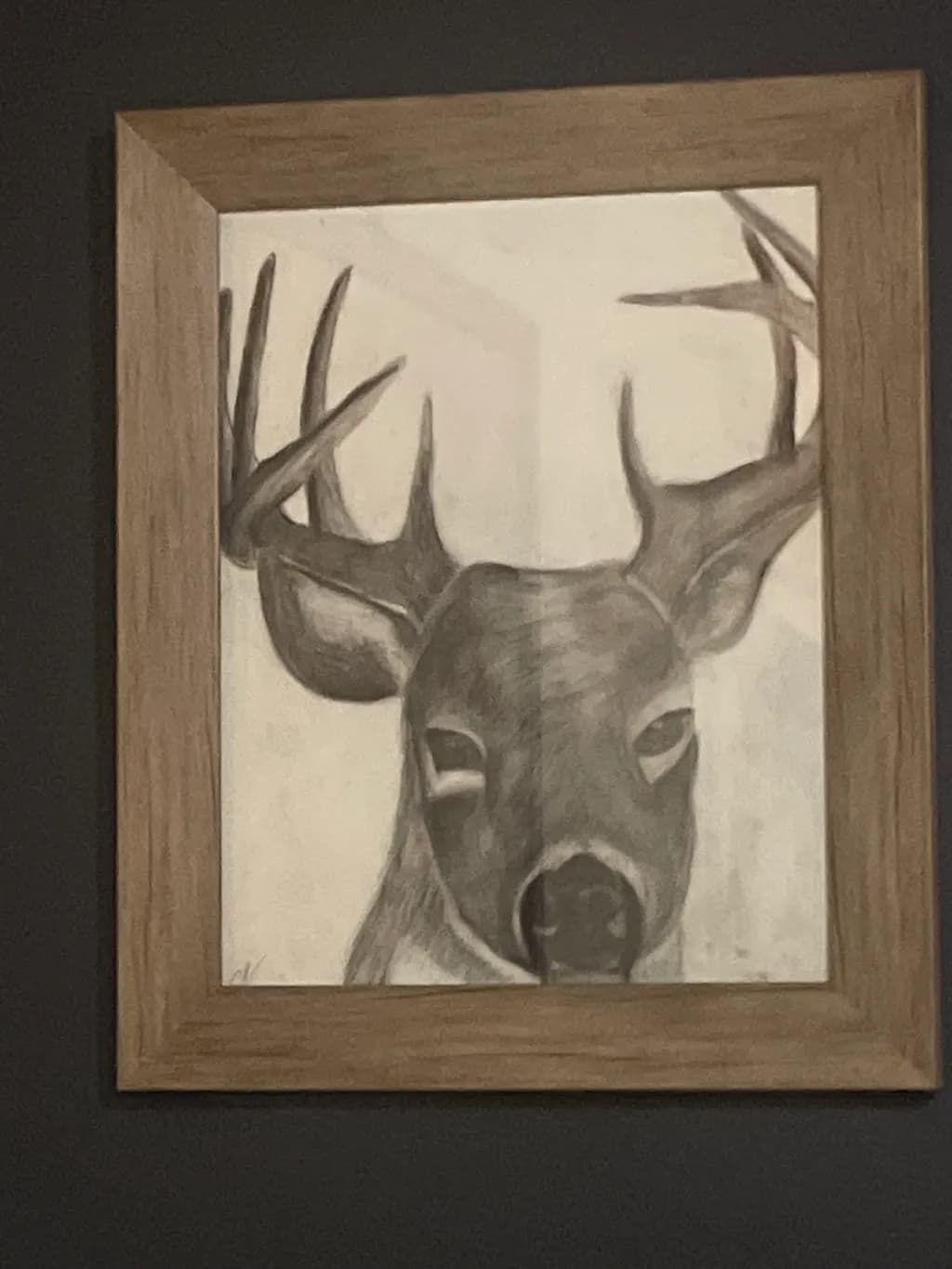 Stag Portrait