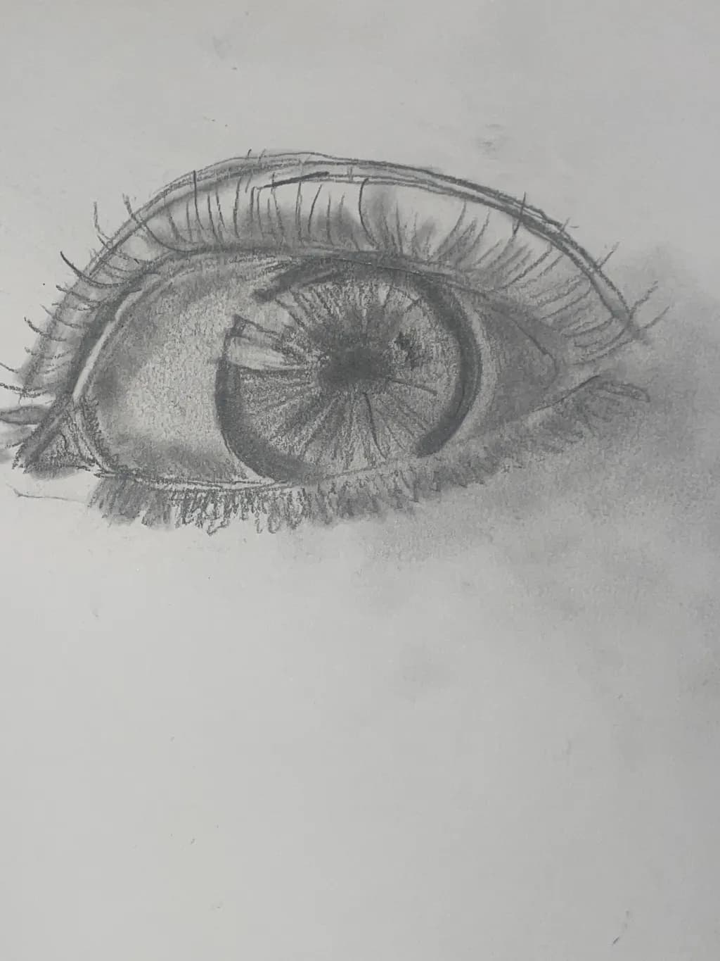 Graphite Eye Study
