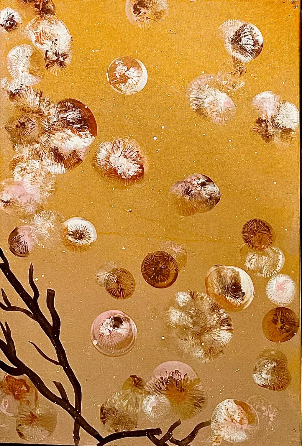 Amber Botanical Drift