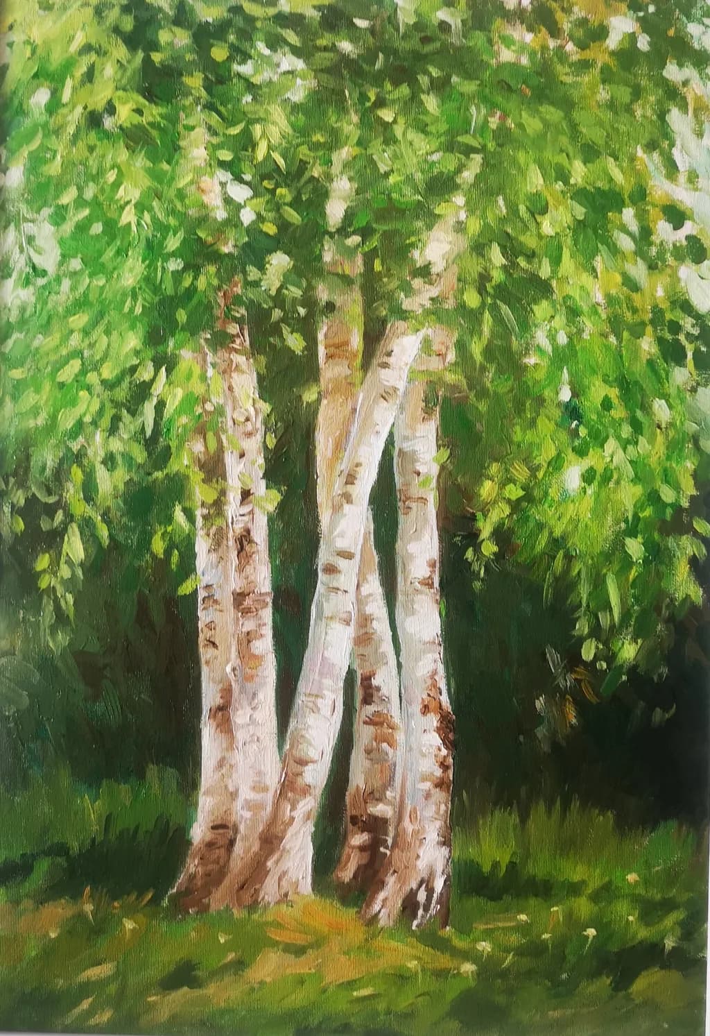 Birch Grove Light